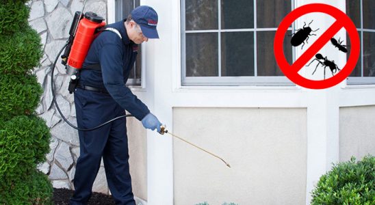 Keçiborlu Kene İlaçlama böcek ilaçlama ve haşere kontrolü — ilaclama-tr.com